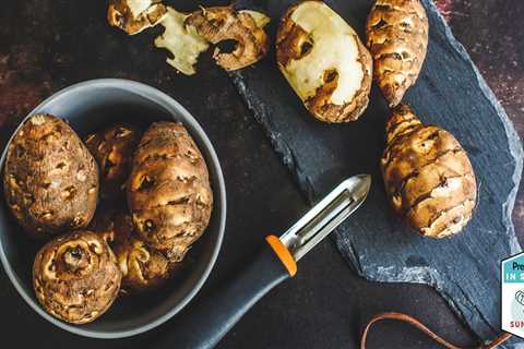 Learn About Jerusalem Artichoke Health Benefits and Exactly How to Use Them