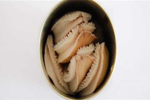 Can you use the brine in canned abalone?