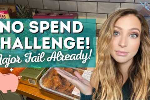 No Spend Challenge | Monthly Meal Plan | Costco Haul