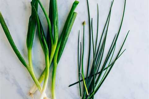 The Benefits of Chives