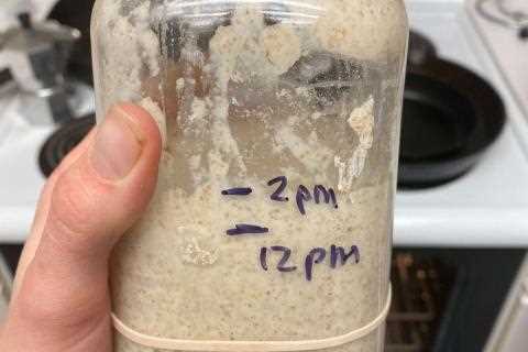 Does this starter look healthy at room temp?