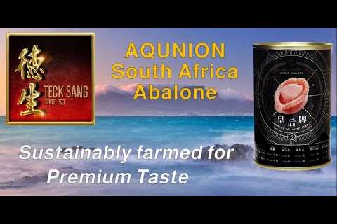 Best South Africa Abalone for CNY Reunion Dinner 2023 and Yu Sheng