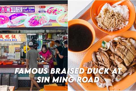 Hup Seng Duck Rice – Famous Braised Duck Rice At Sin Ming Road