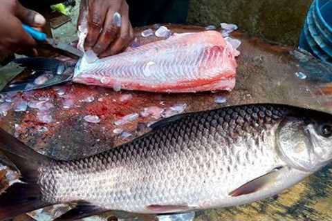 Catla Catla Live Fish Cutting | Catla Fish Skinless Cutting | How To Cutting Fish Skinless