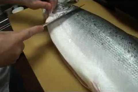 How To Fillet a Whole Salmon - How To Make Sushi Series