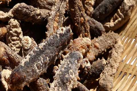 How is sea cucumber dried?