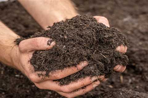 The Benefits of Composting