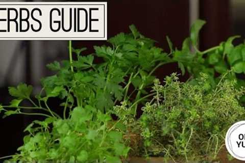 Professional Baker Teaches You How To COOK WITH FRESH HERBS!