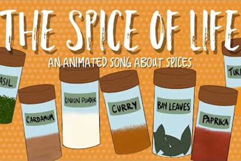 The Spice of Life - animated song for kids about SPICES!