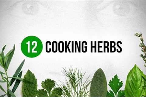12 Cooking Herbs every Cook should know about !