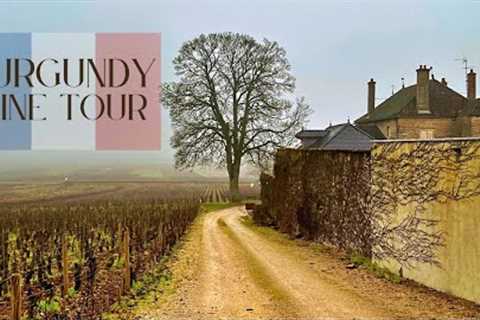 Burgundy France Wine Tour | Best Pinot Noir & Chardonnay In The World!!