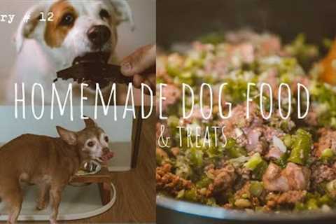 🐾Healthy One-Pot Homemade Dog Food and Treats + Everything We Feed Our Pups | Holistic Vet Approved