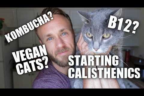 Q&A | Vegan Cats, Juicing, Blenders, Flax Seed, Dragon Flags