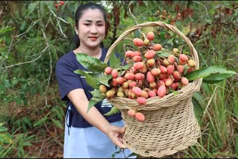 Have you ever picked or eaten Wild Lychee fruit before? - Yummy wild Lychee fruit recipe