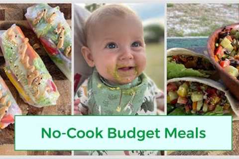 Plant-based Summer Recipes on a Budget / Healthy No-Cook Meals