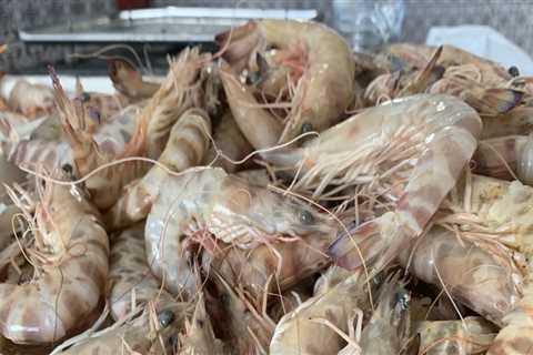 Découvrez la délicieuse expérience culinaire des crevettes fan de Kamounia
