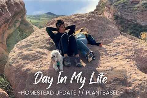 Day In My Life// Plant Based// Homestead Update
