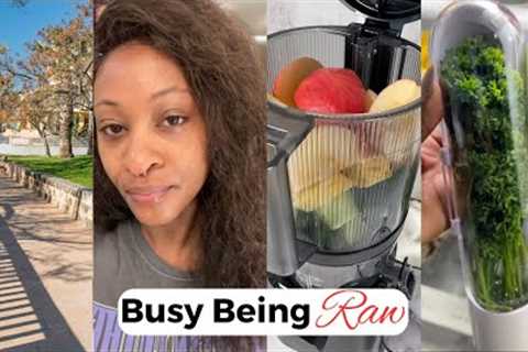 Insight On The Raw Vegan Fast Life | Restocking Fridge, Meals On The Go, & More!