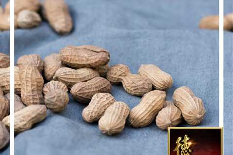What are the Nutrition, Side Effects and Health Benefits of Peanuts?