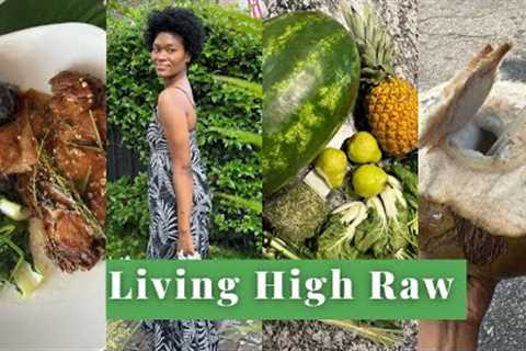 Living High Raw Vegan | Juicing & Farmers Market Haul