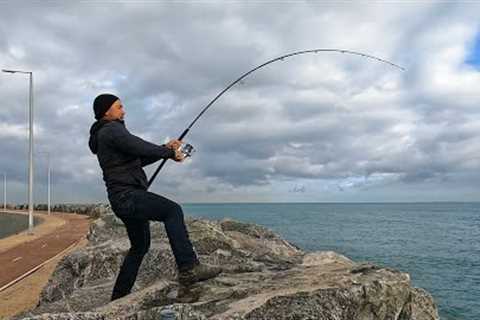 I caught a FISH and COOKED it North Mole Fremantle 🍽️