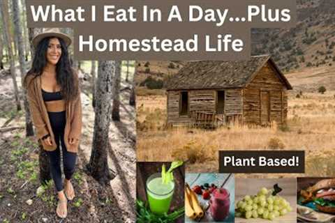 Day In My Life/ What I Eat In A Day (Plant Based)/ Plus Homestead Life