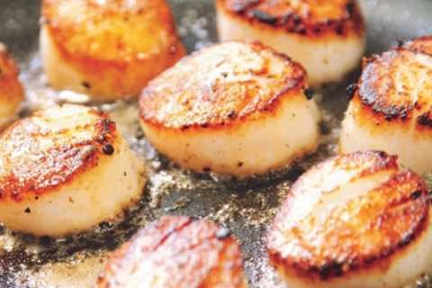 Are Dried Scallops a Nutritious Source of Iron?