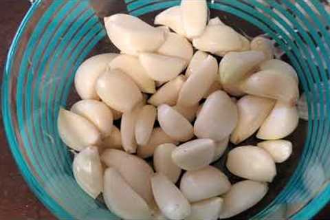 Garlic in Honey - #harvesttotable #inthekitchen Zone 8a