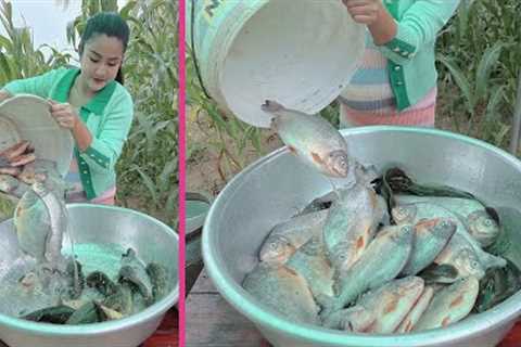 Delicious fried fish recipe - Cooking with Sreypov