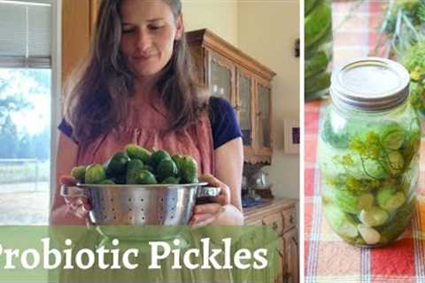 How I make my Fermented Pickles | LOW CARB | PALEO | HOMESTEADING