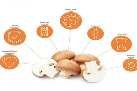 Earthy Mushrooms - Discover the Umami Power!