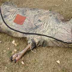 How long can you keep wild game in a cooler?