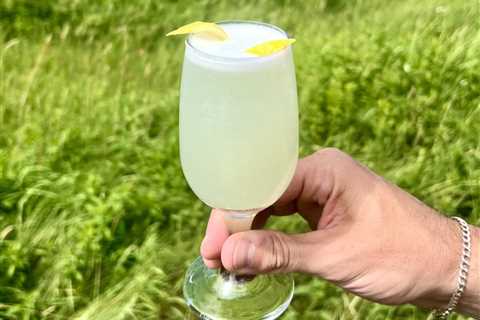 Spruce Tip Gin Fizz Cocktail
