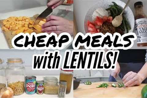 CHEAP MEALS USING LENTILS! Crazy Cheap Meals You NEED to Start Making! Easy Lentil Recipes