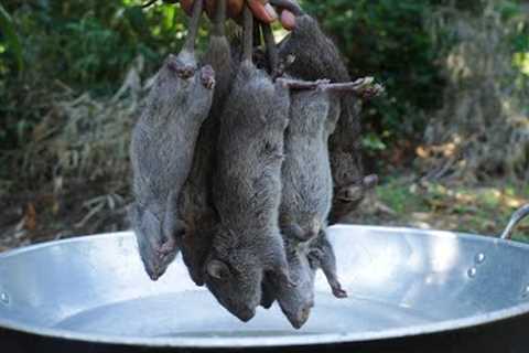 Fried Rat in simple recipe with mango sauce in my village #ratcooking #friedrat