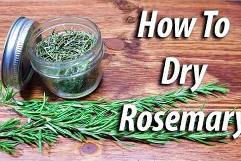 How To Dry Rosemary (2019) Four Different Ways!