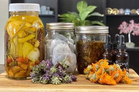 DIY Herbal Remedies: Powerful Medicinal Recipes to Try at Home