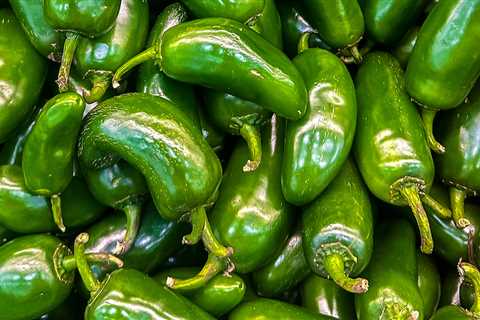 How Hot Are Jalapeños?