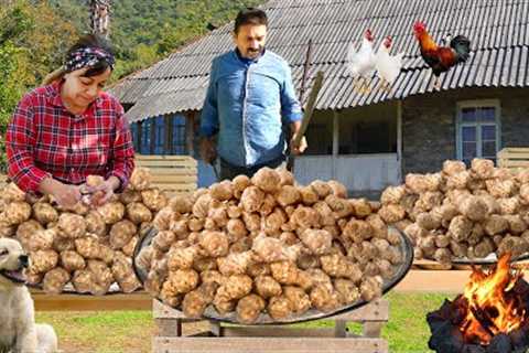 An Unusual Vegetable Under the Soil - Jerusalem Artichoke | The Most Underrated Vegetable!