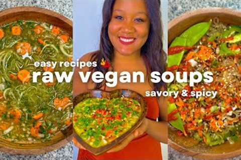 RAW VEGAN RAMEN, “CHICKEN” NOODLE, THAI CURRY SOUPS | SPICY & WARM RECIPES FOR THE FALL/WINTER! ..