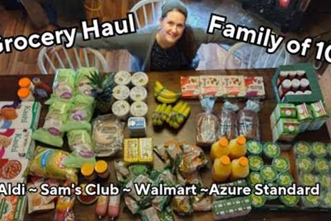 Large Family Grocery Haul ~ Organic and Dairy-Free