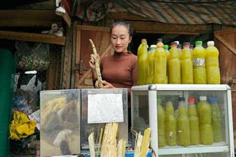 Harvest sugarcane | How to peel & squeeze sugarcane juice goes to market sell | Ly Thi Tam