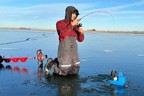 FIRST ICE Fishing Shallow Water for Aggressive Fish!
