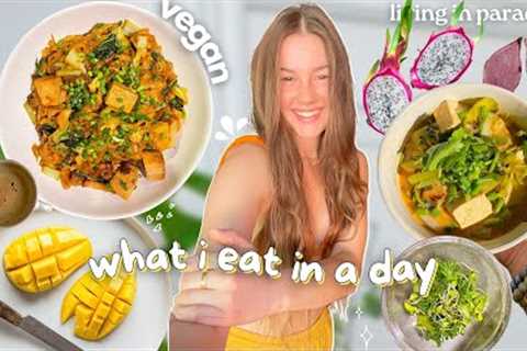 VLOG | what i eat in a day - Thailand! ( simple, vegan recipes )🌿🥢✨