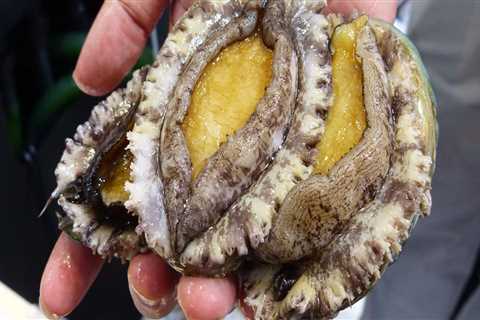 Efforts to Promote Sustainable and Responsible Practices in Abalone Farming