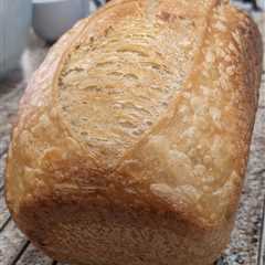 Baking Bread again after a few years hiatus - starter questions