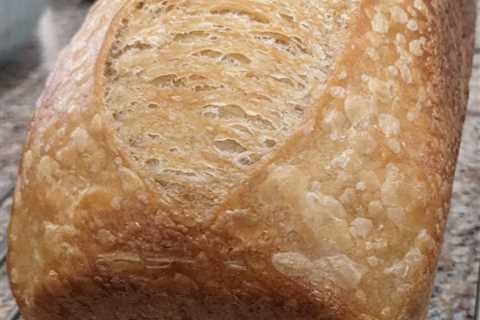 Baking Bread again after a few years hiatus - starter questions