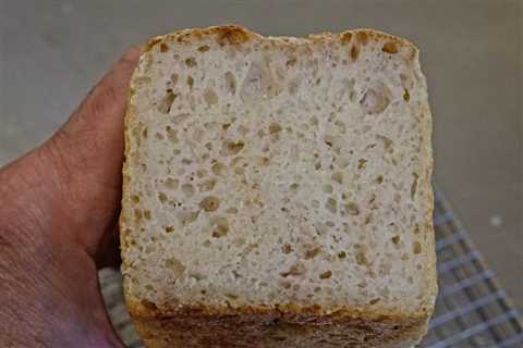 100% Levain No-Handling Bread