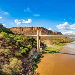 Kawa: Jak zdobyła popularność na całym świecie